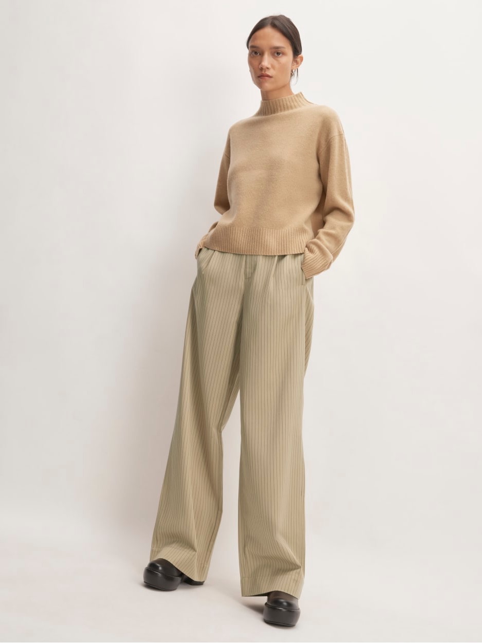 Everlane The Draper Pleated Wide-Leg Pants